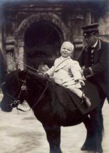 Alfonso en poni